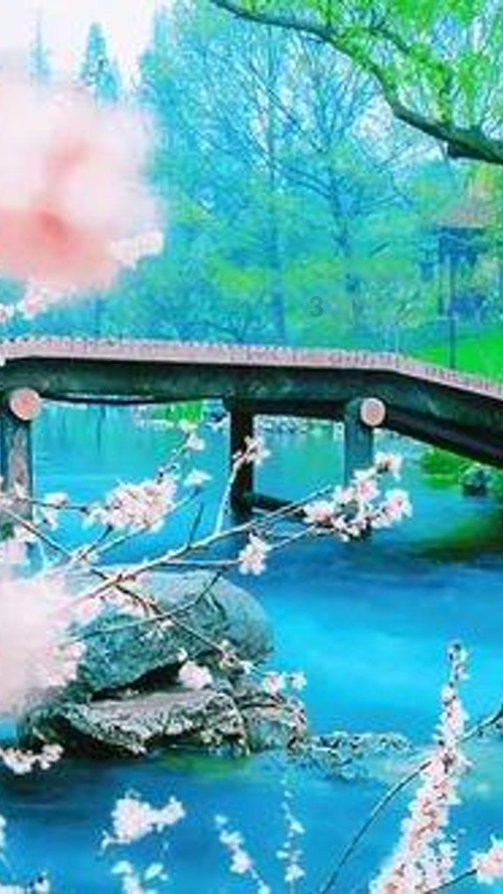 机甲英豪D